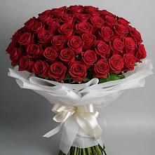 Букет 101 Красная роза Блэк Мэджик в Курждипскую