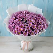 Букет цветов из:  Хризантемы в Курждипскую