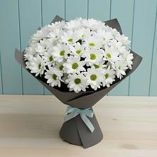Букет цветов из:  Хризантемы #REPLACE_PRED# Курждипскую
