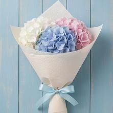 Букет цветов из:  Гортензия в Курждипскую