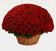 Премиум букет из: Розы #REPLACE_PRED# Курждипскую