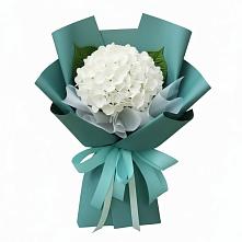 Букет цветов из:  Гортензия #REPLACE_PRED# Курждипскую